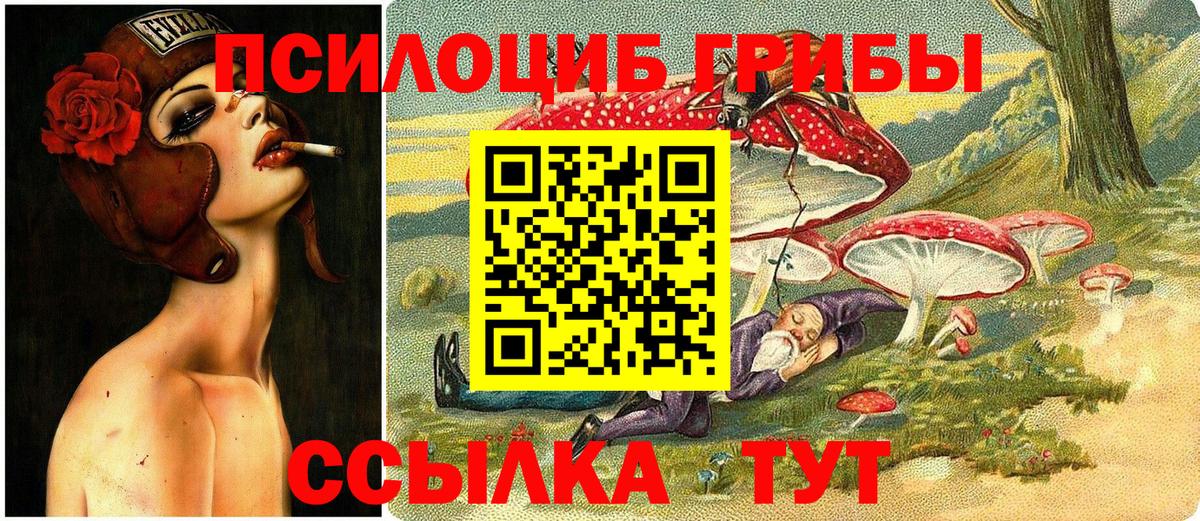 Меф Бийск